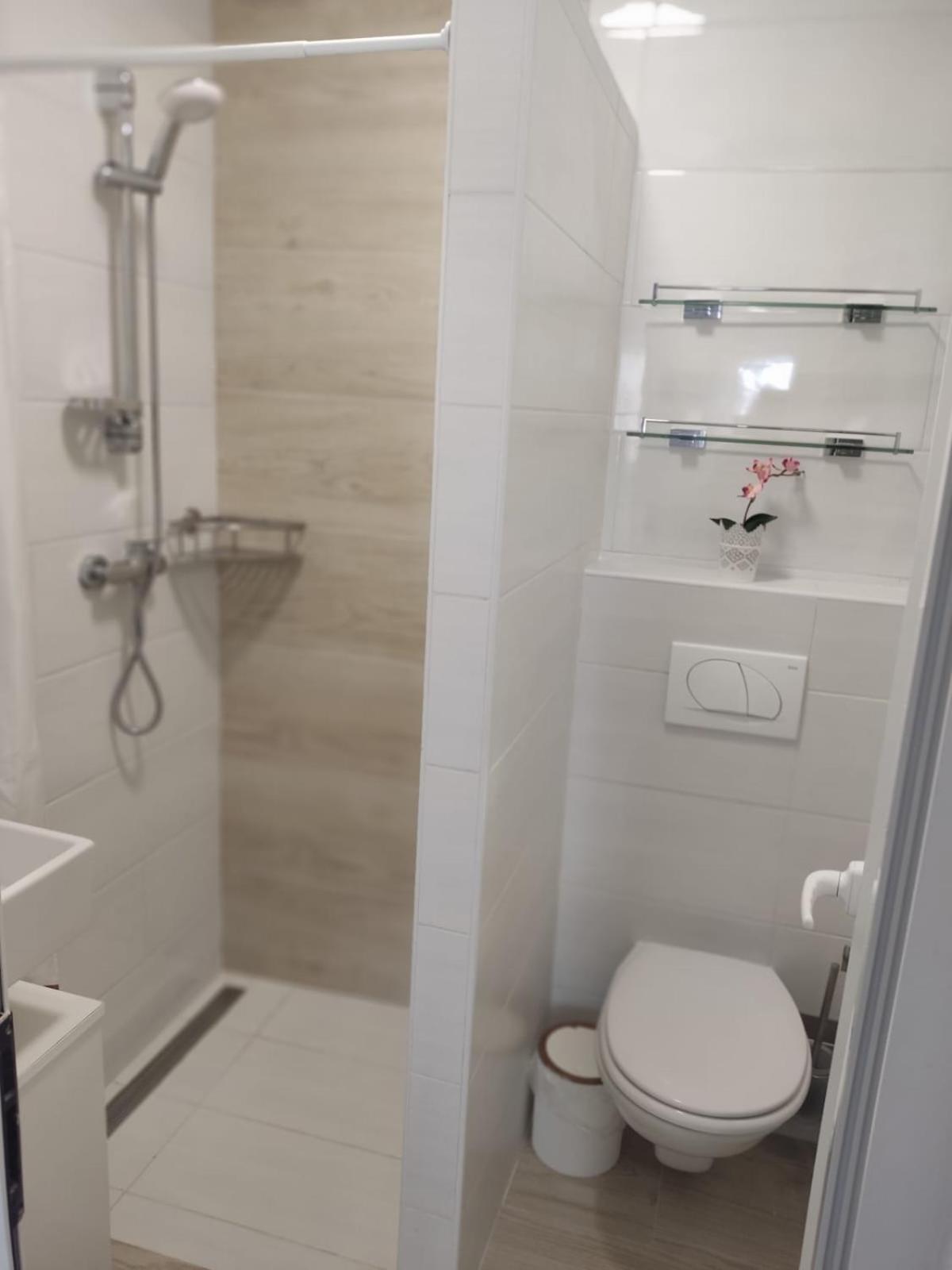Ferienhaus Bozena Appartment 4 Vrsar Eksteriør bilde